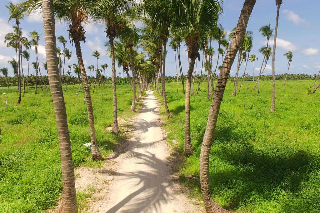 Thoddo Отель Thoddoo Retreat (Тодду Ретрит) — описание, фото, отзывы