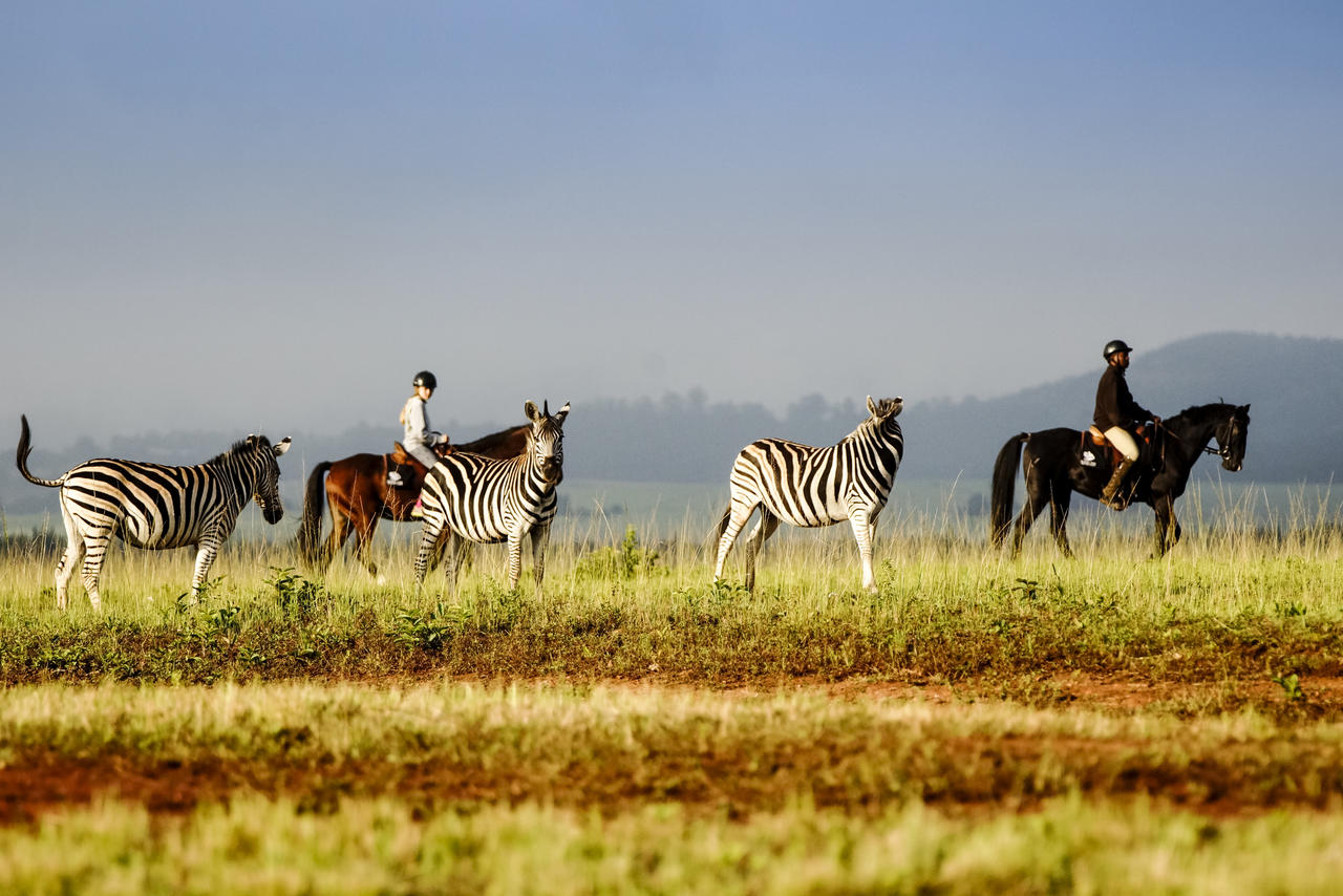 Африка 18. Mlilwane Wildlife Sanctuary. Mlilwane Wildlife Sanctuary Эсватини. Свазиленд заповедник Млилване. Сафари Эсватини.