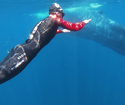 Шри-Ланка: курсы фридайвинга и плавание с китами
